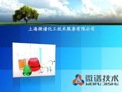 上海微谱化工技术服务PPT