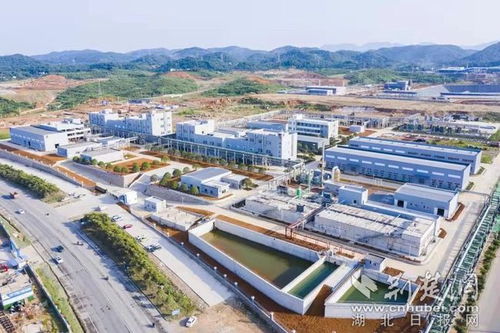 湖北宜都 重奖科技创新 为高质量发展持续蓄能