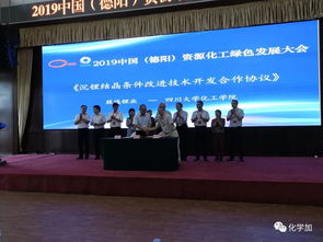 四川大学化工学院与多家企业签署技术开发合作协议,助力德阳新能源 新材料等新兴产业发展