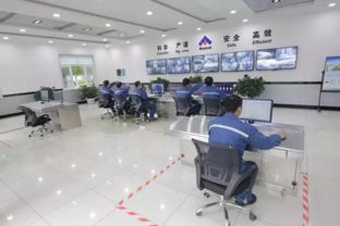 橡胶工业知名企业科迈化工董事长王树华谈绿色发展