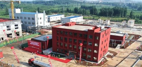中国建材集团 企业动态 开新局谱新篇 我们的产能产量 创新合作取得新进展,捷报频传