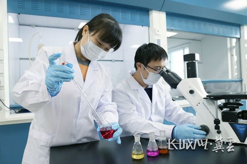 石家庄循环化工园区 科技创新点燃高质量发展新引擎