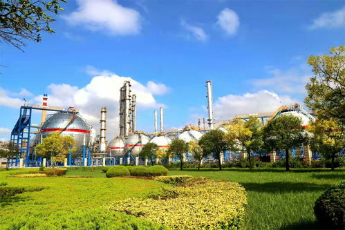 中国石化7个项目荣获国家科学技术奖，化工技术开发成果斐然