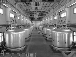 盘点2018 青海科技创新发展亮点回眸——聚焦化工技术开发