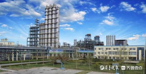 化工技术开发驱动淄博城市品质跃升——专访淄博市委常委、副市长宋振波